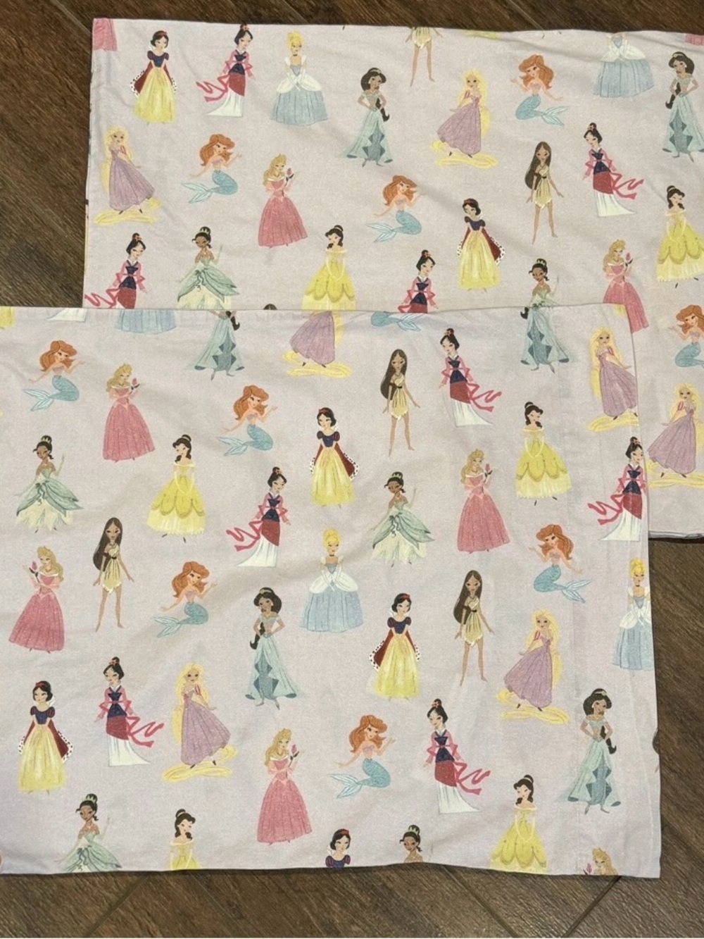 Pottery Barn Kids Disney Enchanted Princess Purple Pillow Cases Set of 2